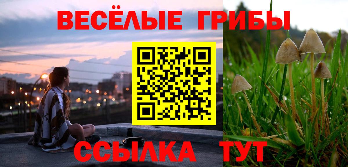 Псилоцибиновые грибы ЛСД  Галлюциногенные грибы GOLDEN TEACHER  Вход с VPN  Саянск 